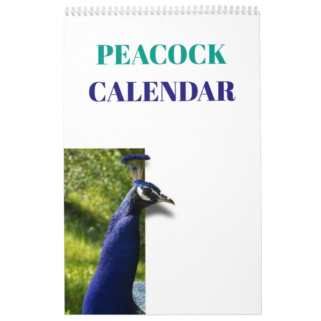 Bunter Pfau 2019 Kalender (Titelbild)