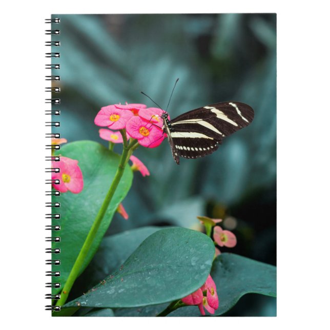 bunter Schmetterling im Garten Notizblock (Vorderseite)