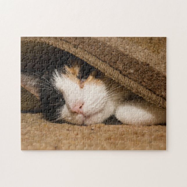 Bunter Teppichläufer (Horizontal)