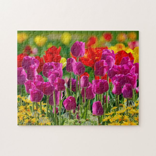 Bunter Tulpenblumengarten  (Horizontal)
