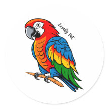 Bunter Vogel Papagei