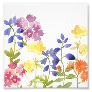 Bunter wilder Blumen-Wasserfarbe-Foto-Druck Fotodruck