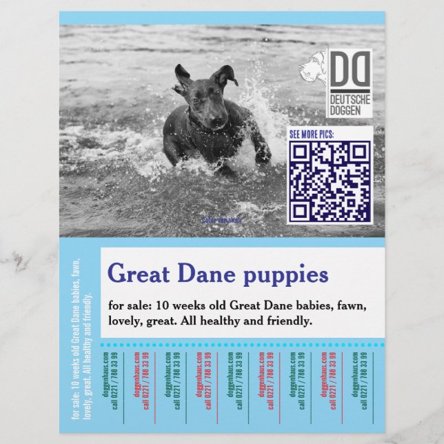 Buntes Abreiß-Hunde-Flugblatt  Flyer (Vorne)