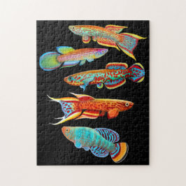 Buntes Aquariumkillifish-Puzzlespiel