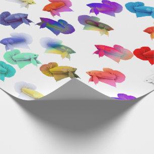 Buntes Betta Aquarium-Fisch-Packpapier Geschenkpapier