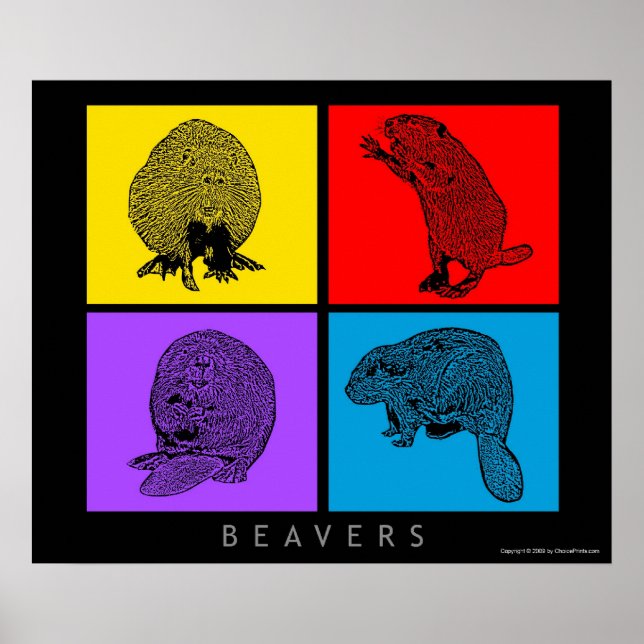 Buntes Biber Poster (Vorne)