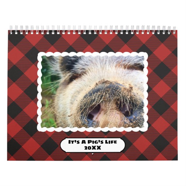 Buntes Büffel-Plaid-Foto Kalender (Titelbild)