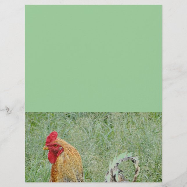 Buntes Huhn der Farm der Tiere der Hähne (Vorderseite)