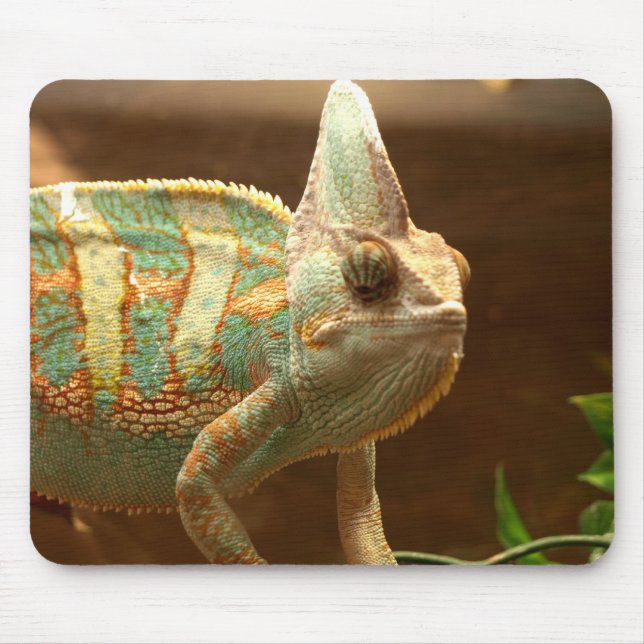 buntes lizzard mousepad (Vorne)