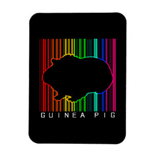 Buntes Meerschweinchen Süßer Meerschweinchenlieb Magnet