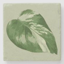Buntes Monstera-Blatt – Echtes Pflanzenkunstwerk