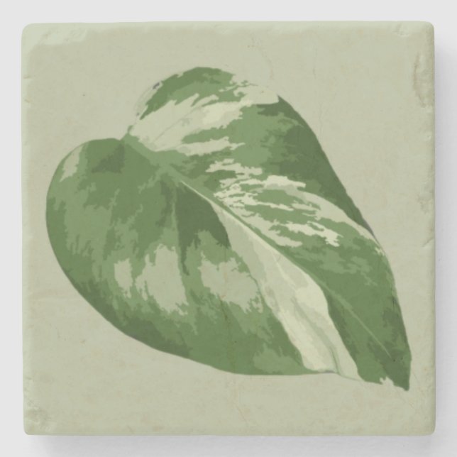Buntes Monstera-Blatt – Echtes Pflanzenkunstwerk Steinuntersetzer (Vorderseite)