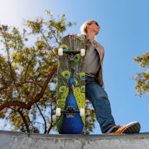 Buntes Pfau Skateboard