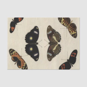 Buntes Schmetterlings-Gemisch auf Sahnehintergrund Seidenpapier
