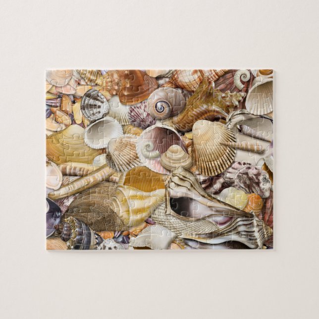 Buntes Seashells-Puzzlespiel (Horizontal)