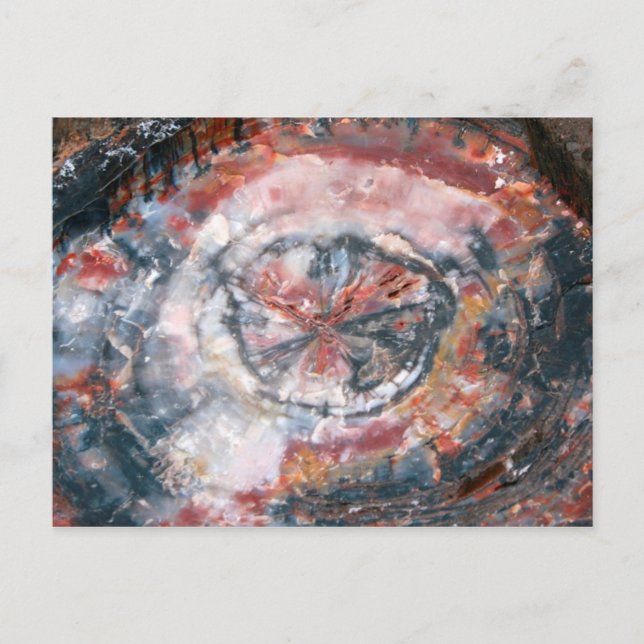 Buntes versteinertes Foto Postkarte (Vorderseite)