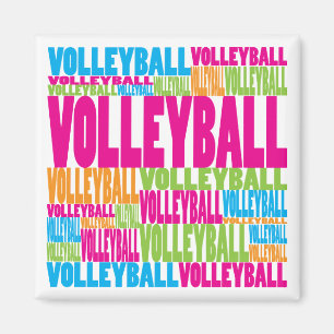 Buntes Volleyball Magnet