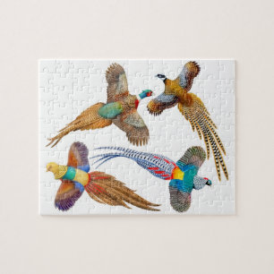 Buntes wildes Fasan-Puzzlespiel