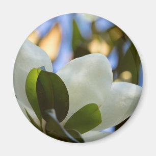 Buntglas-Himmel Southern Magnolia Geschenke Beklei Magnet