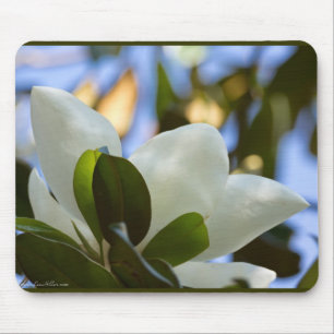 Buntglas-Himmel Southern Magnolia Geschenke Beklei Mousepad
