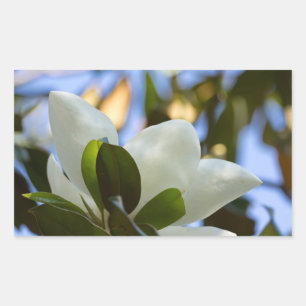 Buntglas-Himmel Southern Magnolia Geschenke Beklei Rechteckiger Aufkleber