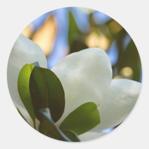 Buntglas-Himmel Southern Magnolia Geschenke Beklei Runder Aufkleber