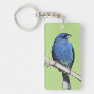 Bunting Indigo