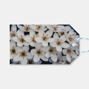 Buntöne aus weißen Blume Geschenkanhänger