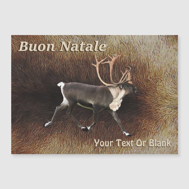 Buon Natale - Bull Caribbean (Reindeer) Magnetkarte (Vorderseite)