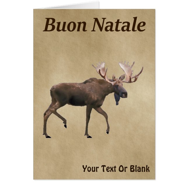 Buon Natale - Bull Moose Sur Ancien Papier (Devant)