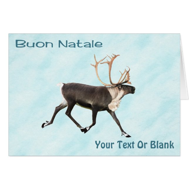 Buon Natale - Caribou (Rennes) Sur Neige (Devant horizontal)