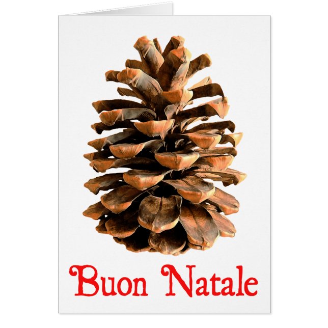 Buon Natale - Cône de pin de Jérusalem (Devant)