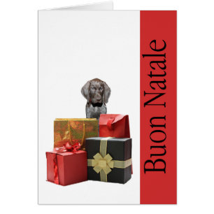 Buon Natale Kurzhaarkatpfeffer