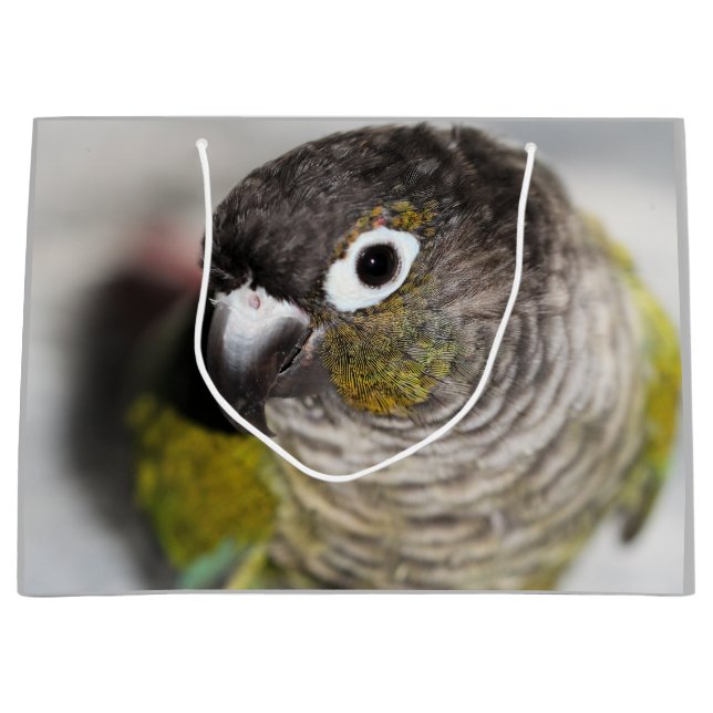 Burbel Große Geschenktüte (Vorderseite)