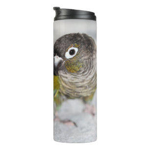 Burbel Thermosbecher