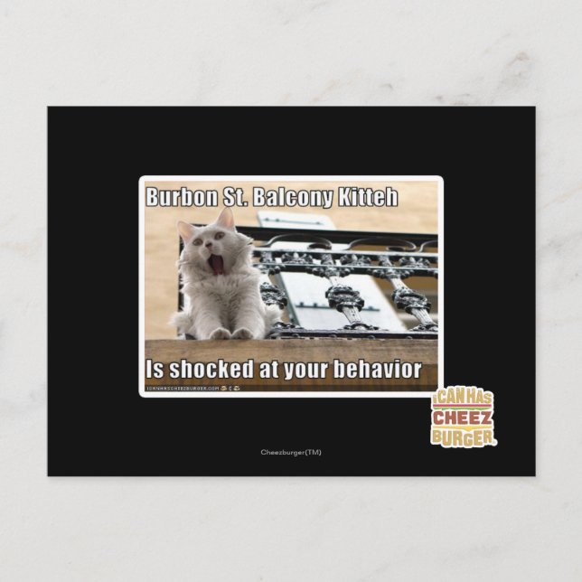 Burbon St. Balcony Kitteh Postkarte (Vorderseite)