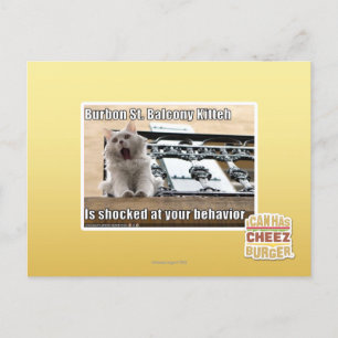 Burbon St. Balcony Kitteh Postkarte