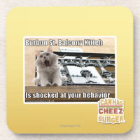 Burbon St.-Balkon Kitteh