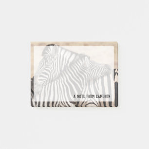 Burchell-Zebras beim 'Necken' Post-it Klebezettel