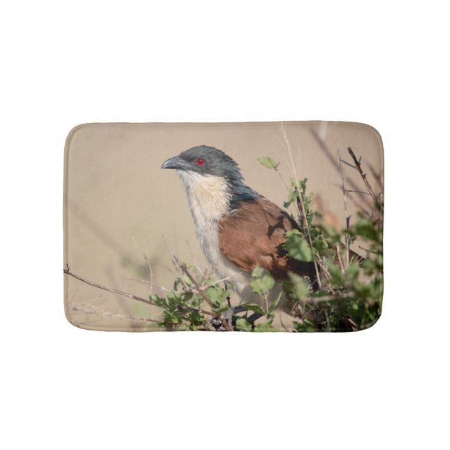Burchell's Coucal Badematte (Vorderseite)