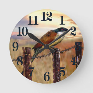 Burchells Coucal Kuckuckvogel Runde Wanduhr