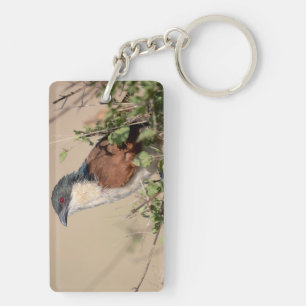 Burchell's Coucal Schlüsselanhänger