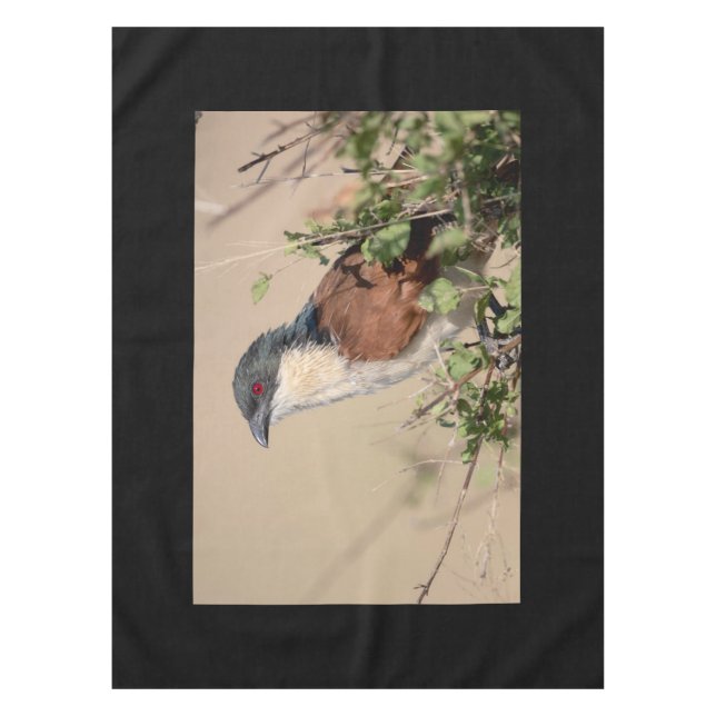 Burchell's Coucal Tischdecke (Vorderseite)