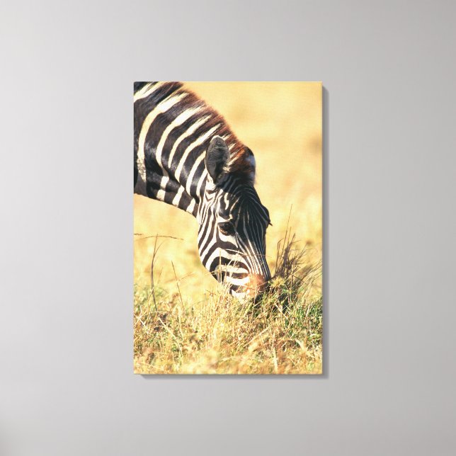 Burchells Zebra 2 Leinwanddruck (Vorderseite)