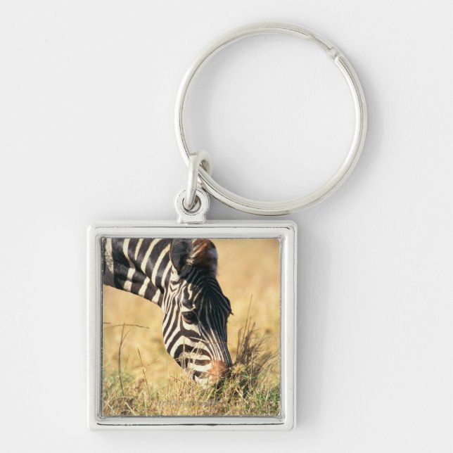 Burchells Zebra 2 Schlüsselanhänger (Vorne)