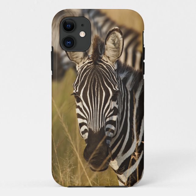 Burchell's Zebra im hohen Sommergras, Masai Case-Mate iPhone Hülle (Rückseite)