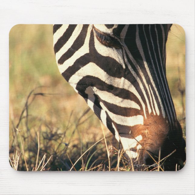 Burchells Zebra Mousepad (Vorne)