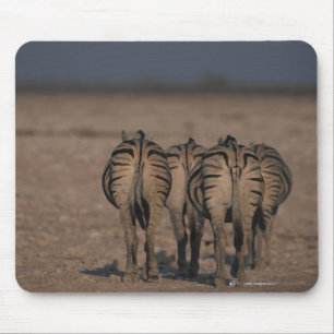 Burchells Zebras-Gehen Mousepad