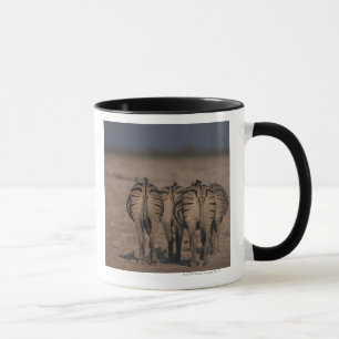 Burchells Zebras-Gehen Tasse