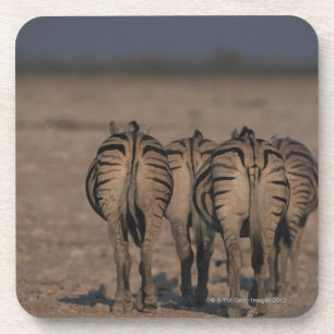 Burchells Zebras-Gehen Untersetzer